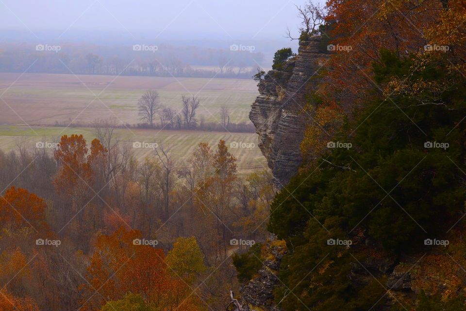 Tree line separating fields an the ground below