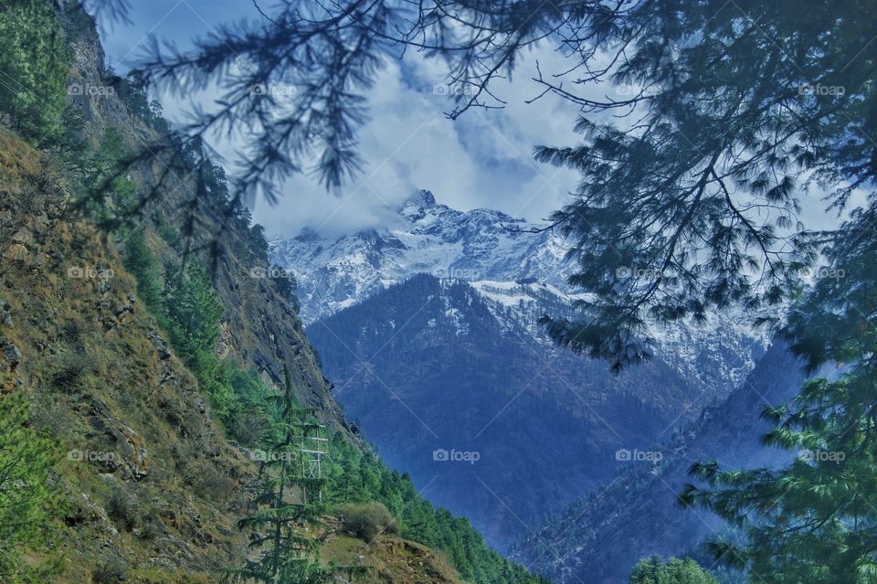 Snow covered mountains with green on a side. A view from my cottage in Himachal India.