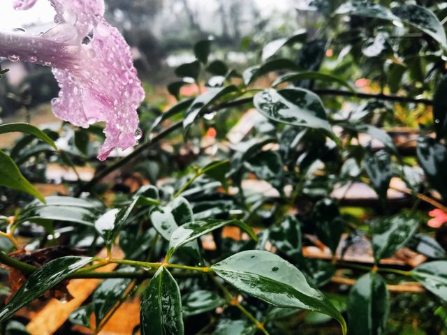 rainy day