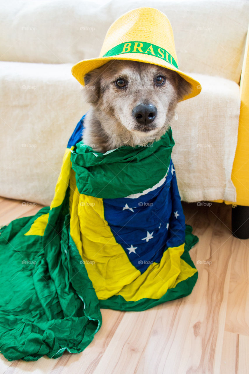 Brazil fever 