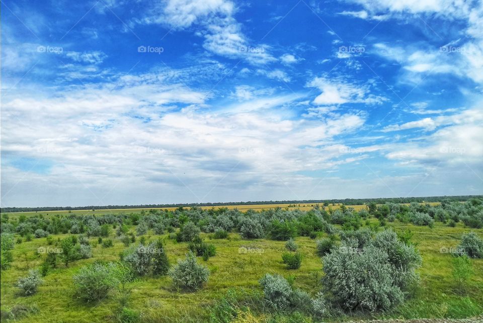 Bright sky over the summer green field