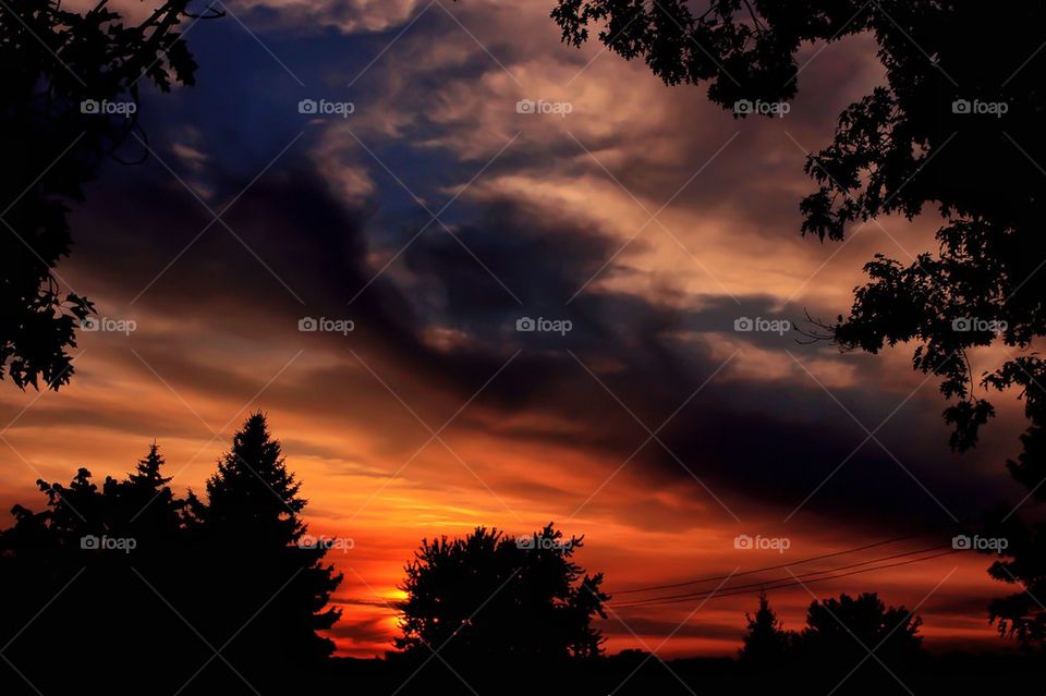 Silhouette of trees against dramatic sky