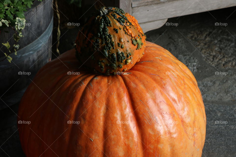 Pumpkins 