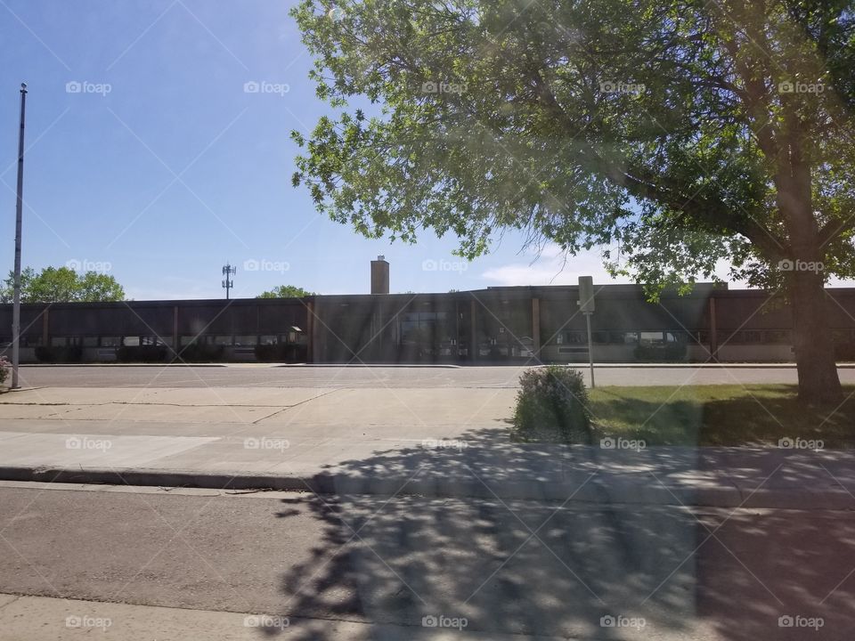 Calamity, Tree, War, Road, No Person