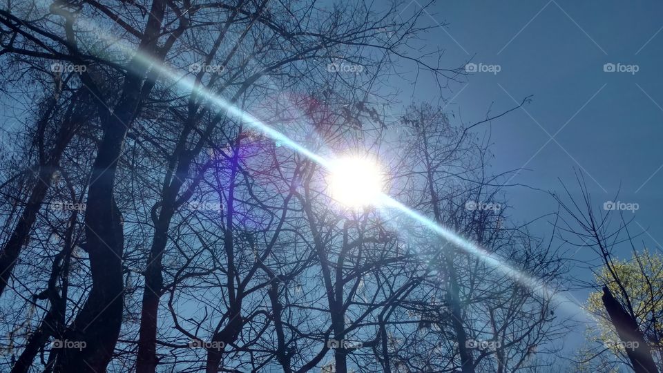 Nature, Weather, Tree, Landscape, Fair Weather