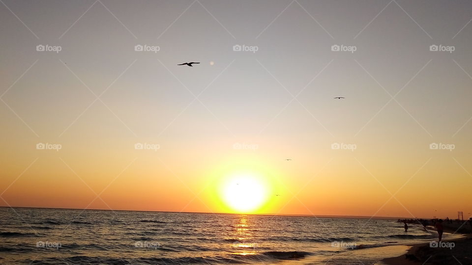 закат.море.чайки.солнце.