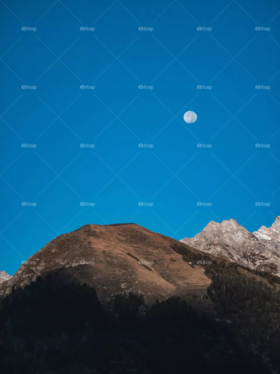 moon on land