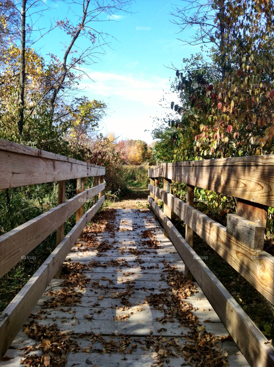 fall bridge oak creek by doug414