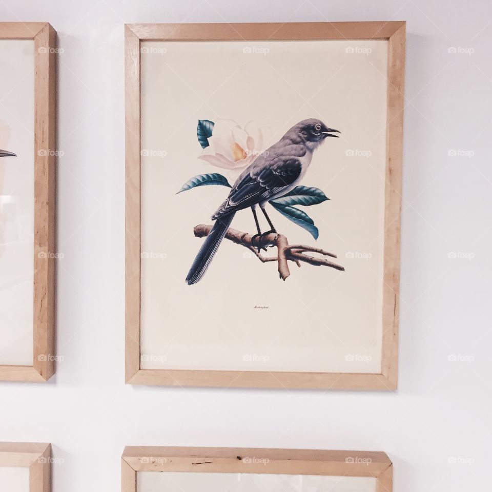 Wood, Bird, No Person, Animal, Picture Frame