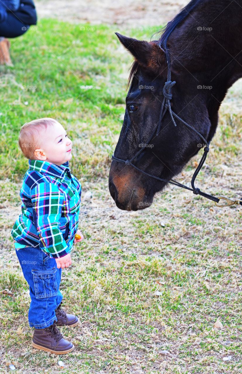 Love at first sight. First Horse sighting