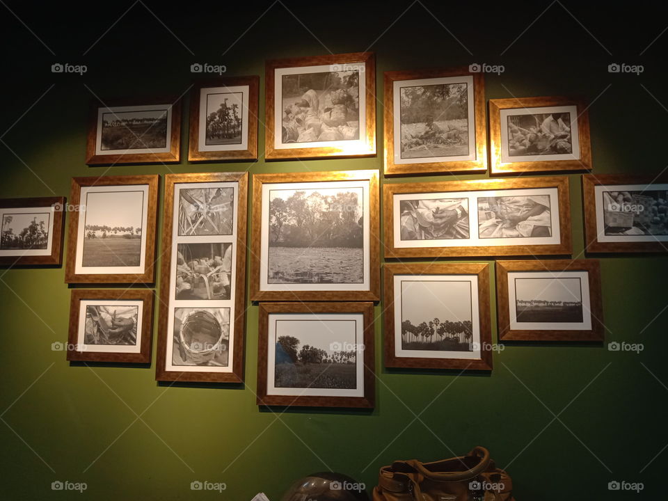 Color vs Black and White