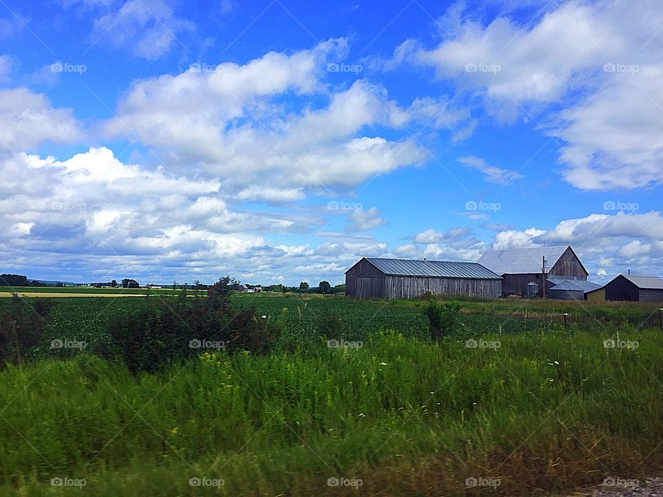 Branch Countryside 