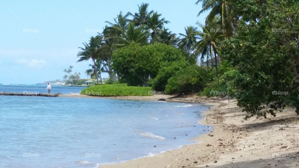 Hawaii Kai Park