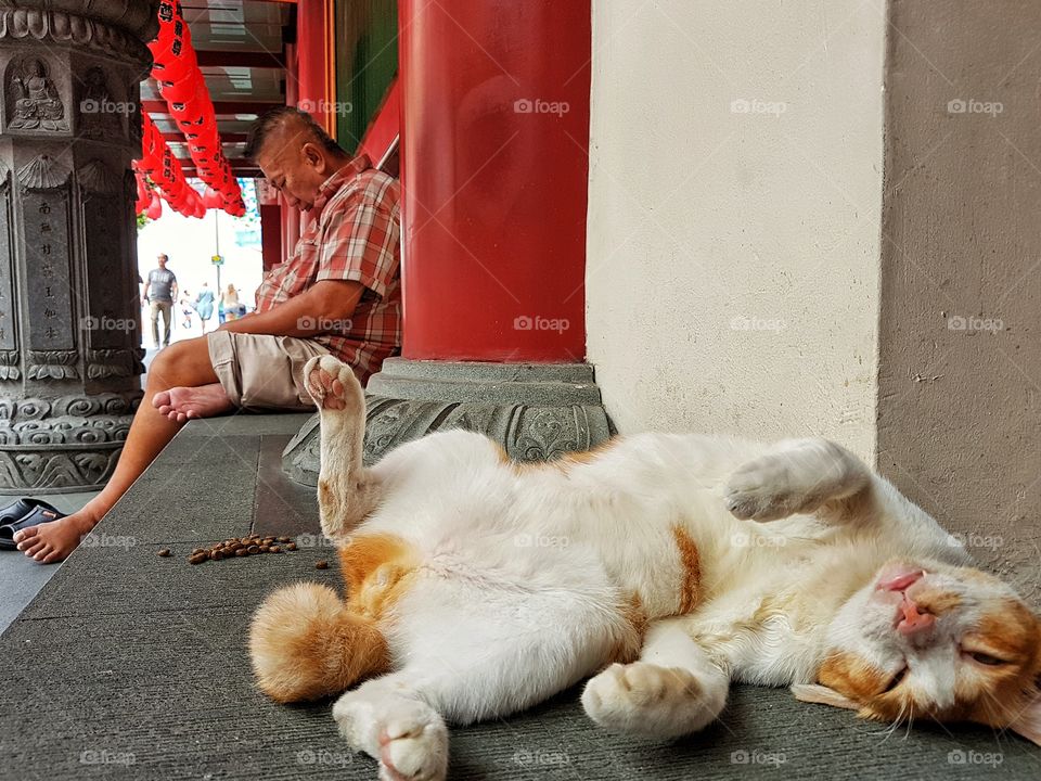 asleep in Singapore