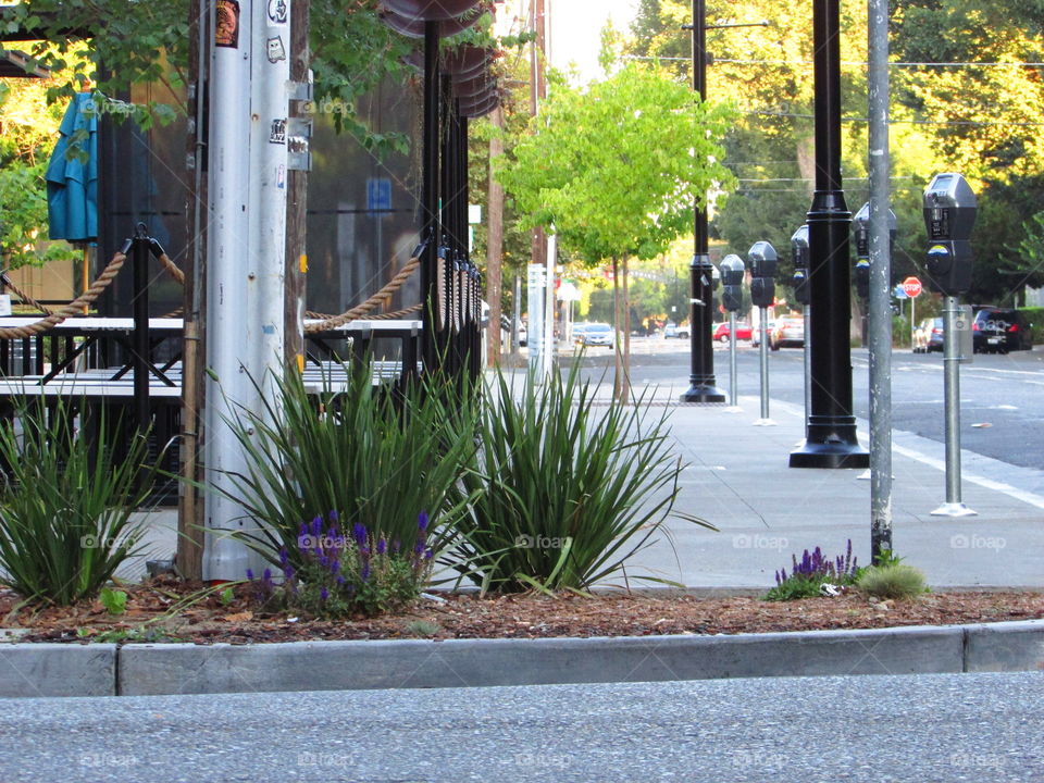 street view of the corner of 15th and R in downtown Sacramento California