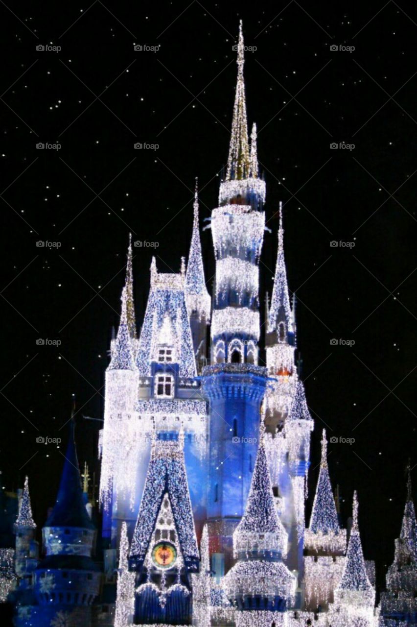 Disney Christmas Castle!