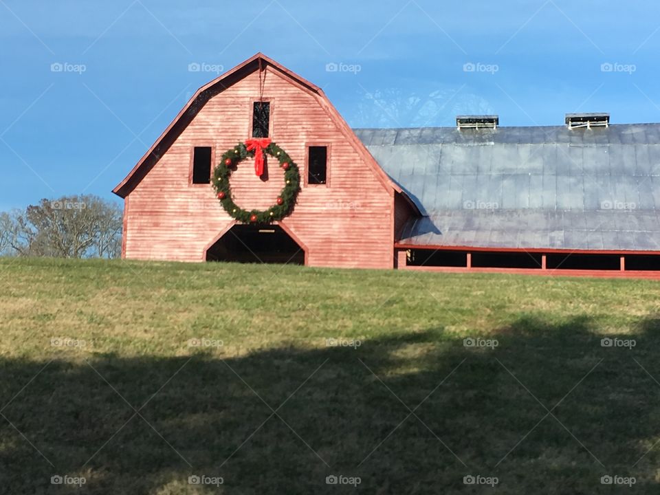 Our neighbor’s beautiful Christmas wreath and barn 