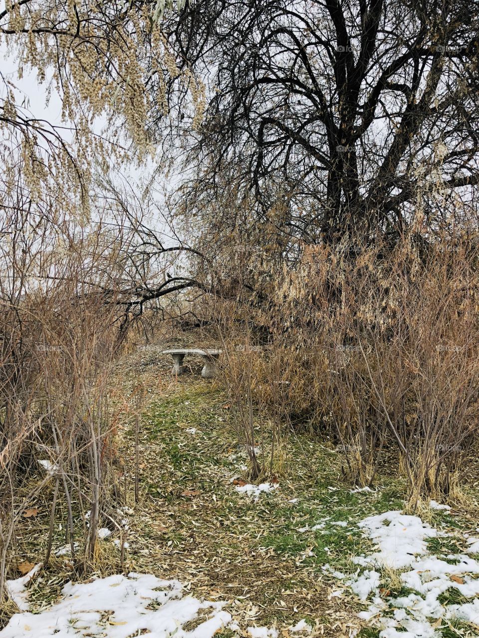 Little bench on a cold winter day 