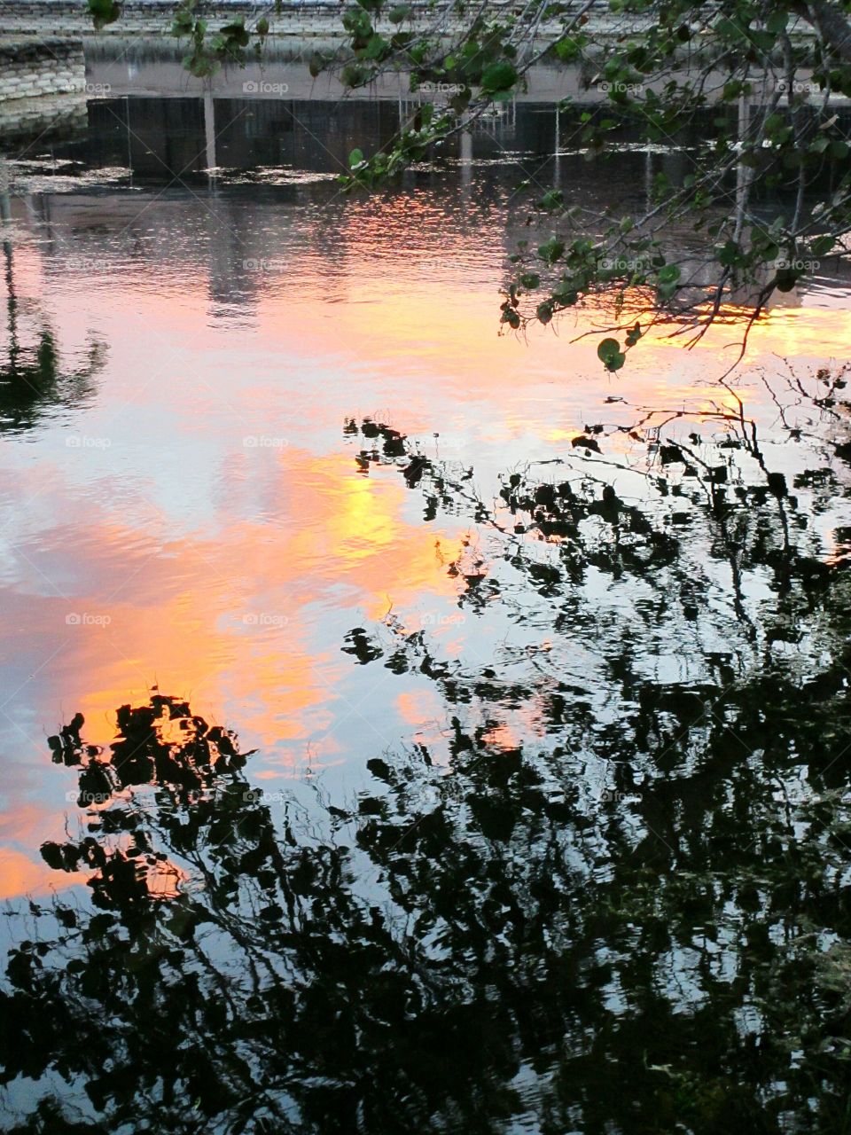 golden water reflections. golden clouds reflected on water