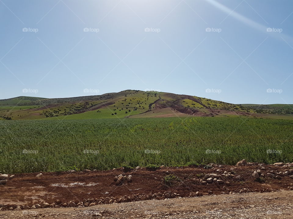 Nature _ Moroccan Fields