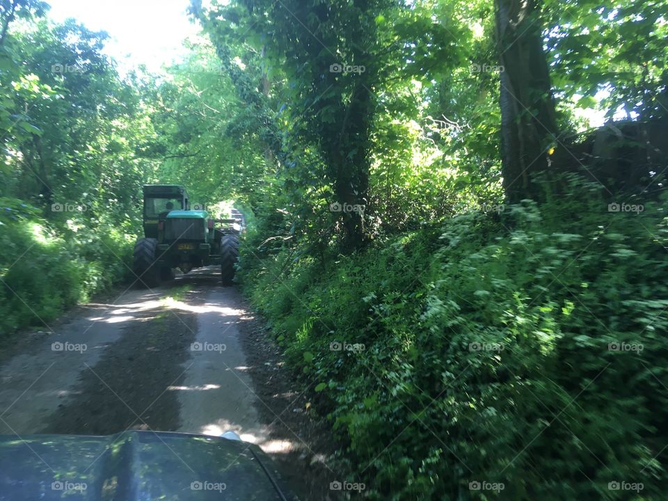 Sunlight shines through beautiful trees. Shot of forklift driving down a country lane 