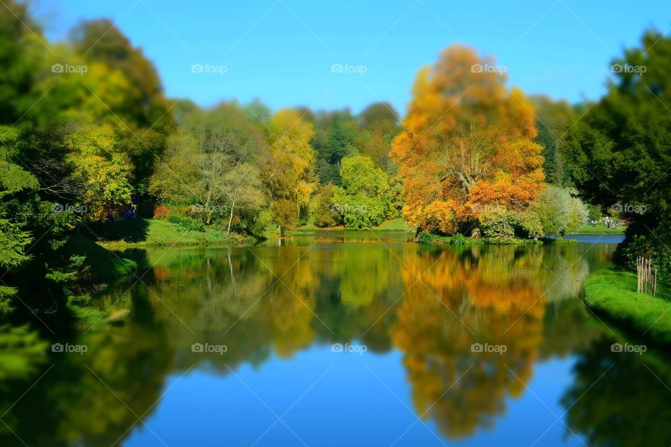 Autumnal reflection 