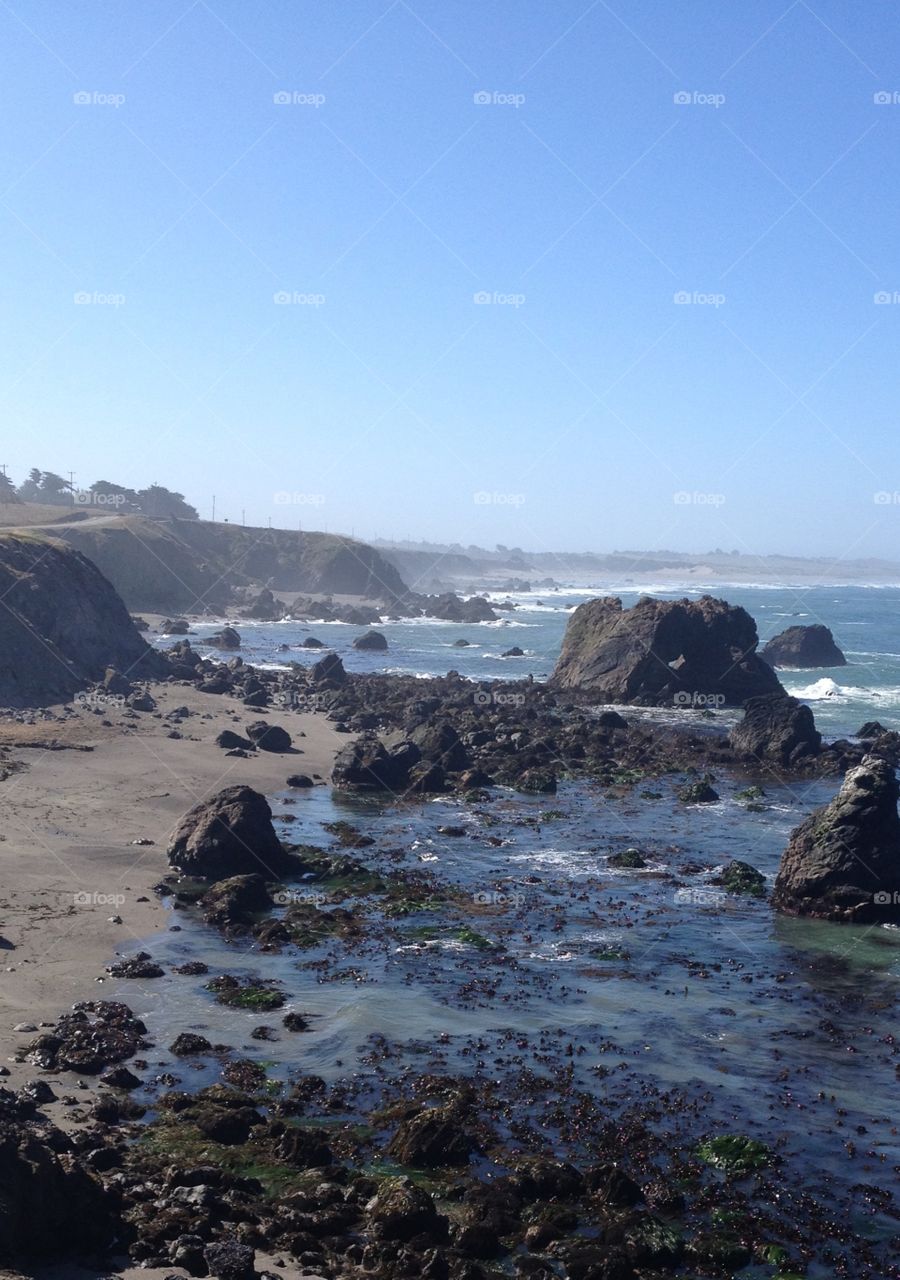 Bodega Bay