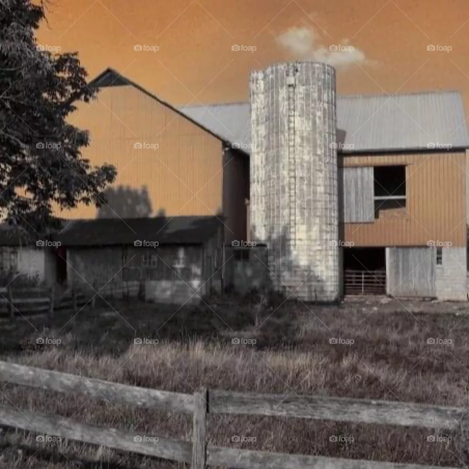Amish barn