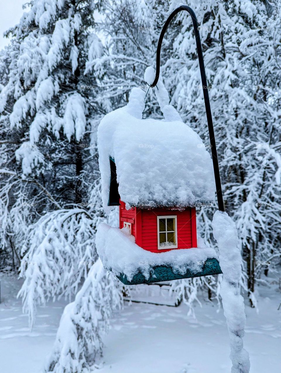 Red bird house covered in snow