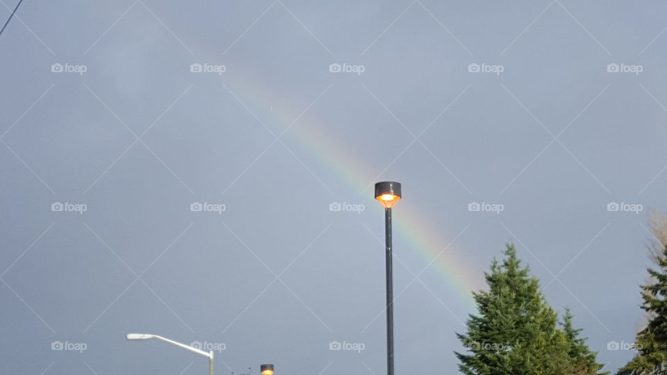 rainbow lamp