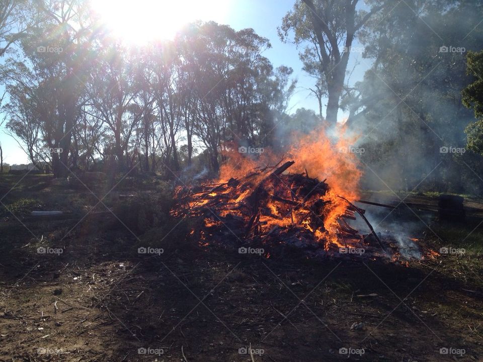 Bonfire