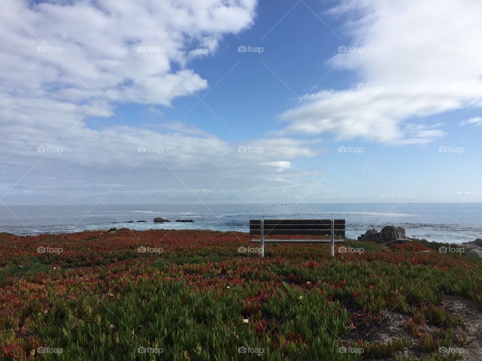 Bench overlooking pacific grove California 