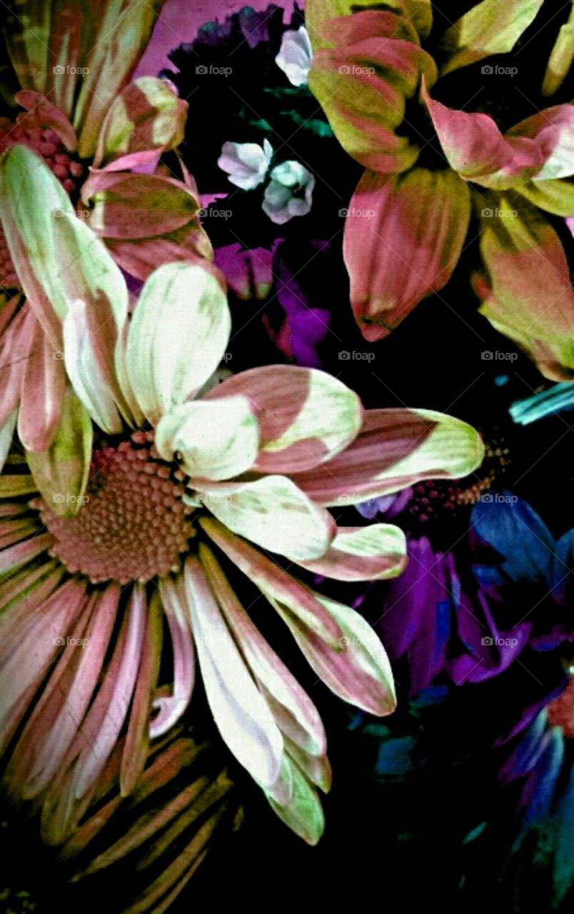 discovery. lighting effects