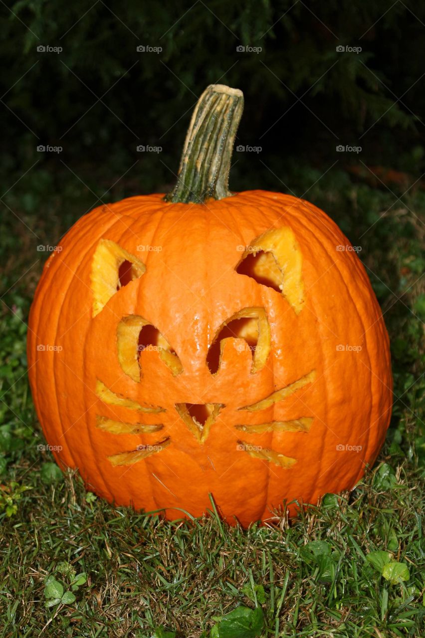 cat face Halloween pumpkin