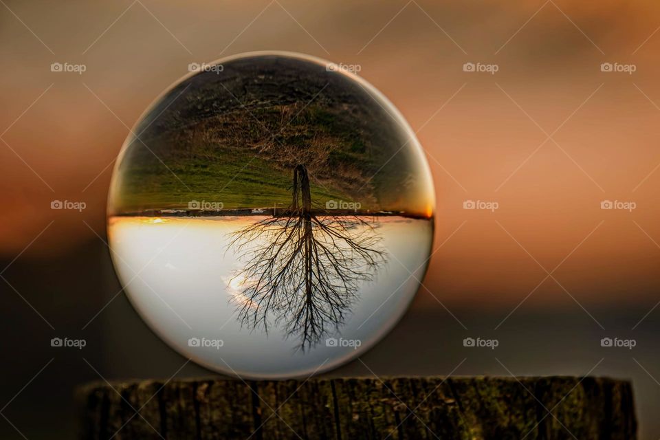 A lensball perspective as the sunsets, illustrating an inverted view of a tree on the horizon. 