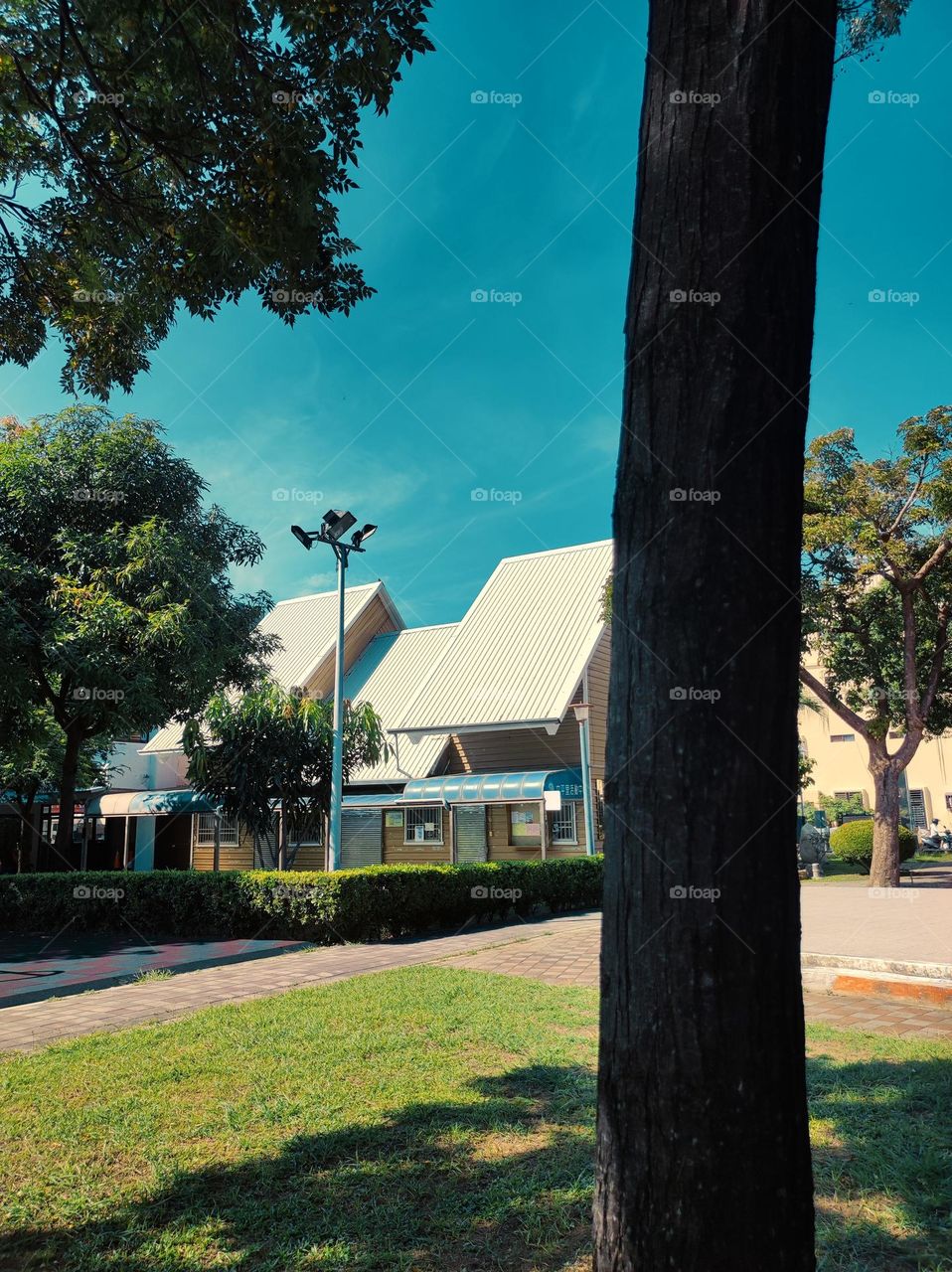 Summer turns fall...