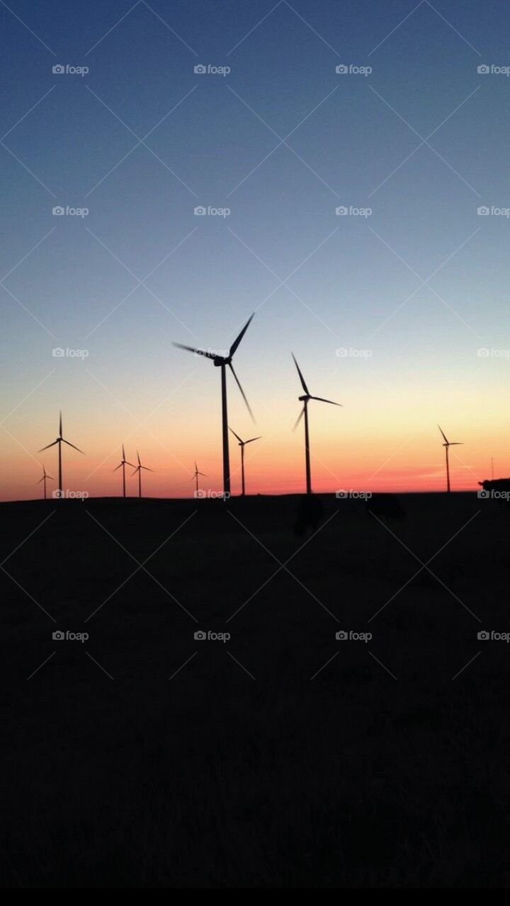 wind farm sunrise