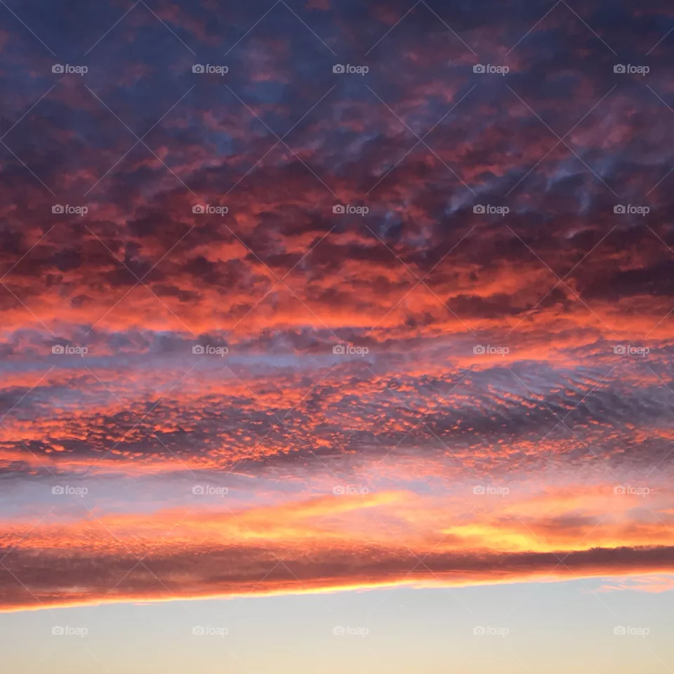Pink sunset 
