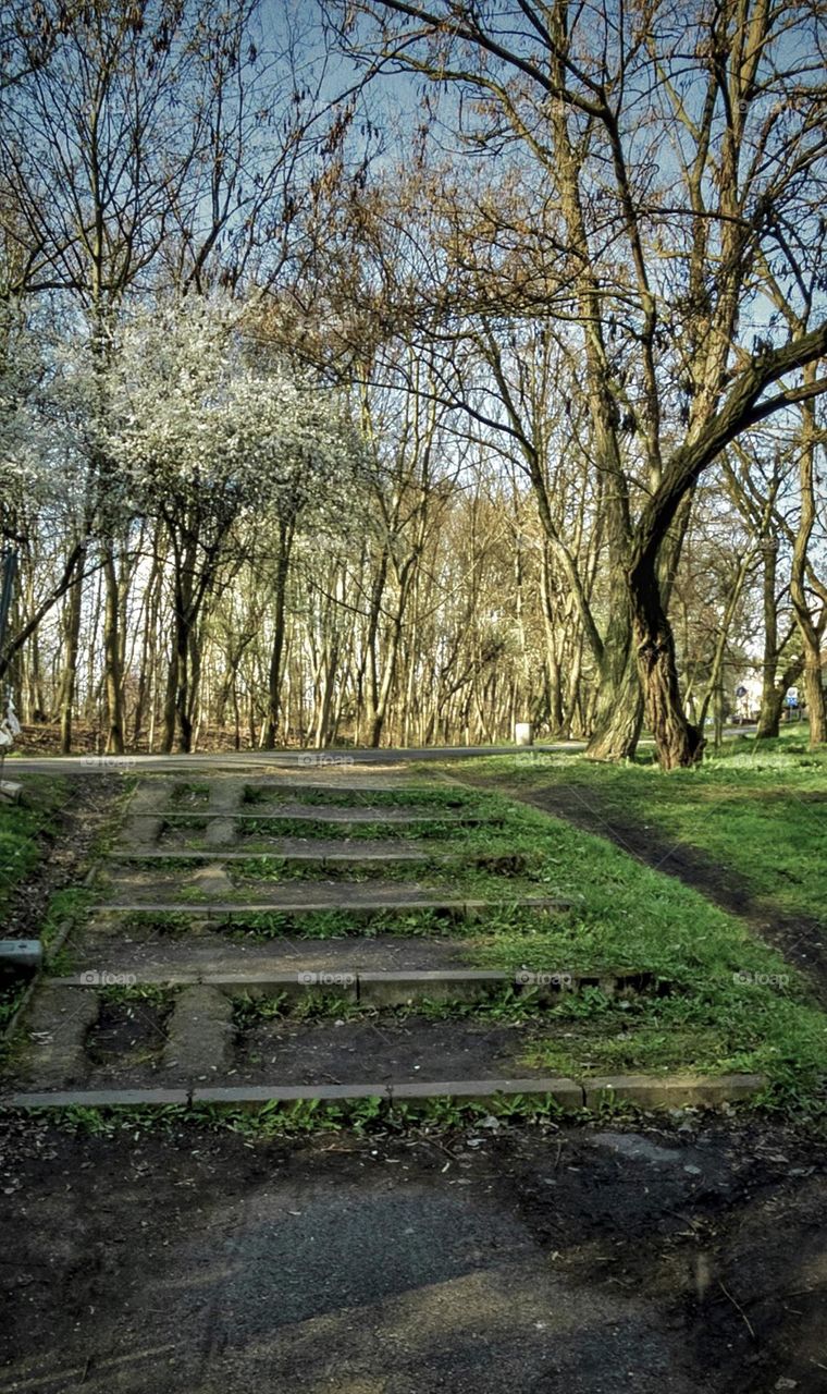 In the park