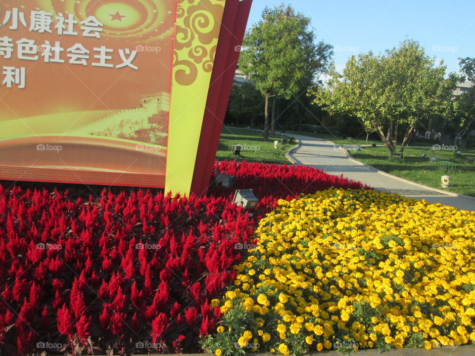 I captured this photo at Tianjin in China