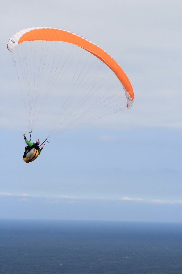 Fly