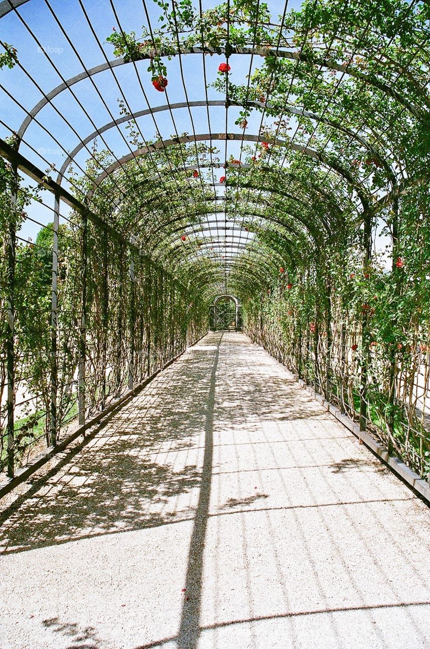 Covered Walkway, Schonbrunn Palace, Vienna, Austria