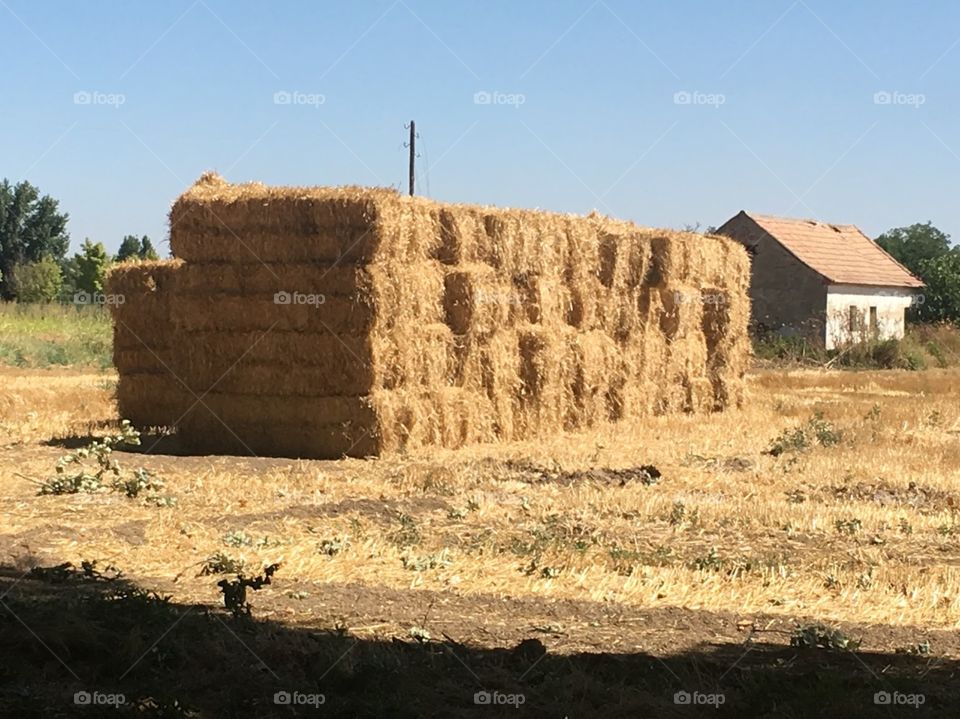 Neat and organized blocks or hay stacked on top of each other next to a barn ready to be sold to different farms. 