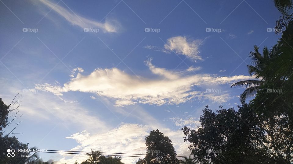 Isn't it pretty amazing how fast these clouds transform under the influence of the wind? For one second it resembles a dolphin, and in the next a cat. Pretty intriguing.