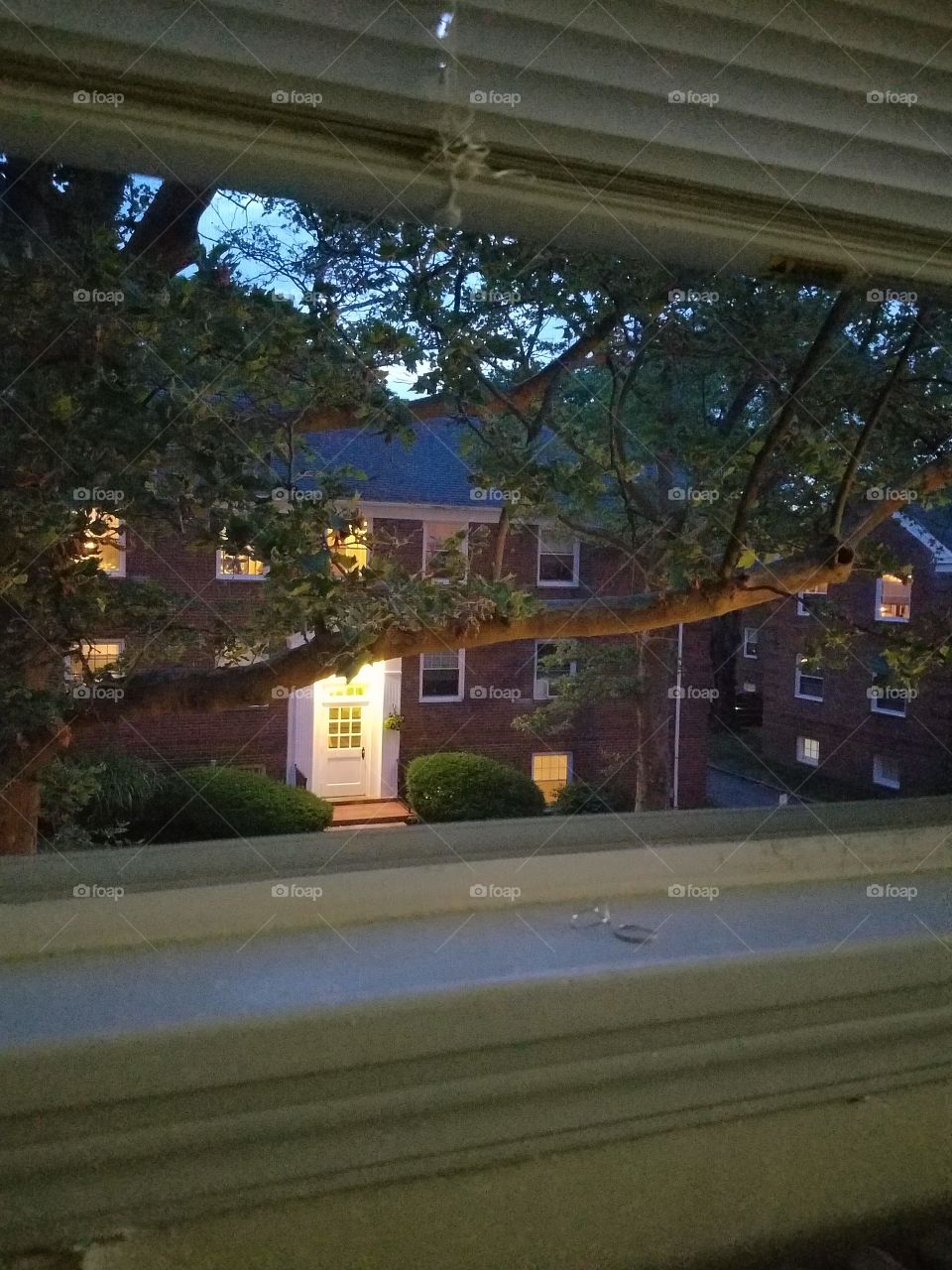 evening neighbor