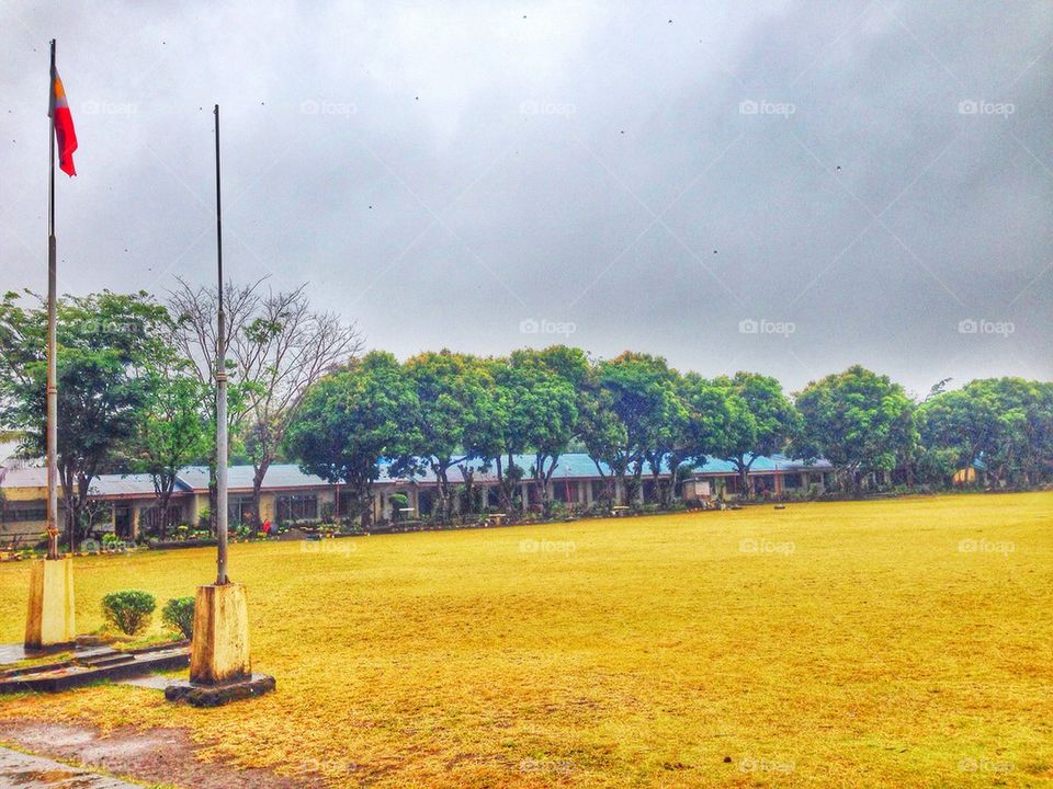 School ground