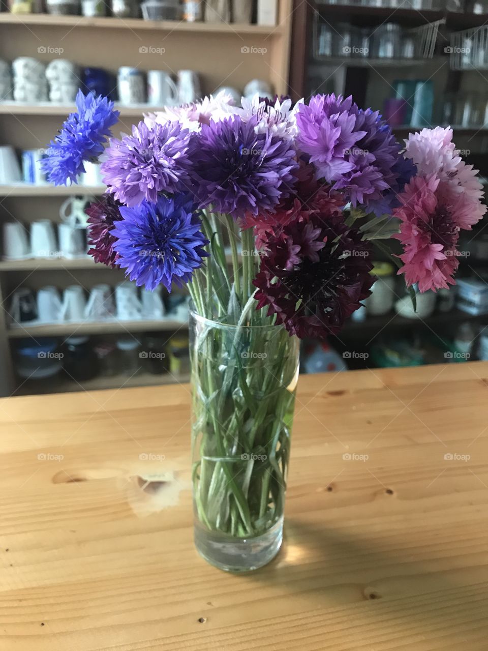 Cornflowers in vase