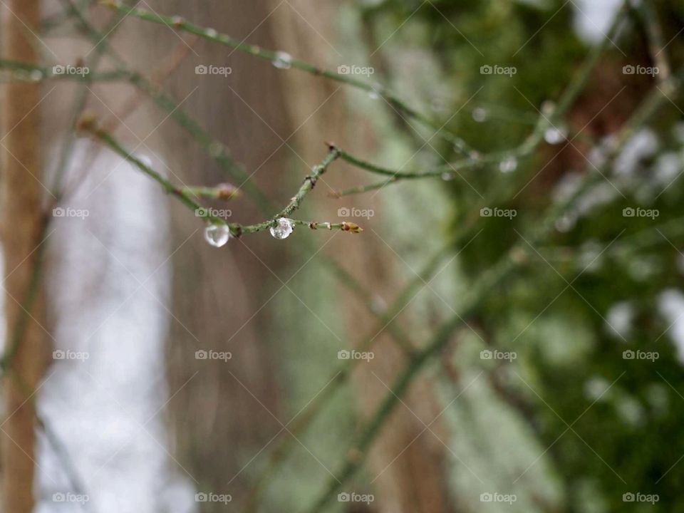 The last day of winter