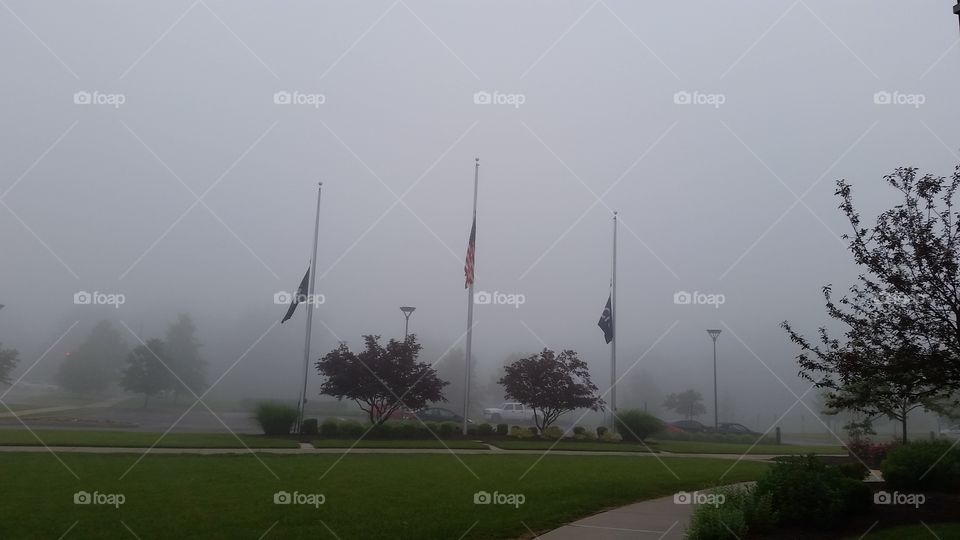 foggy flag