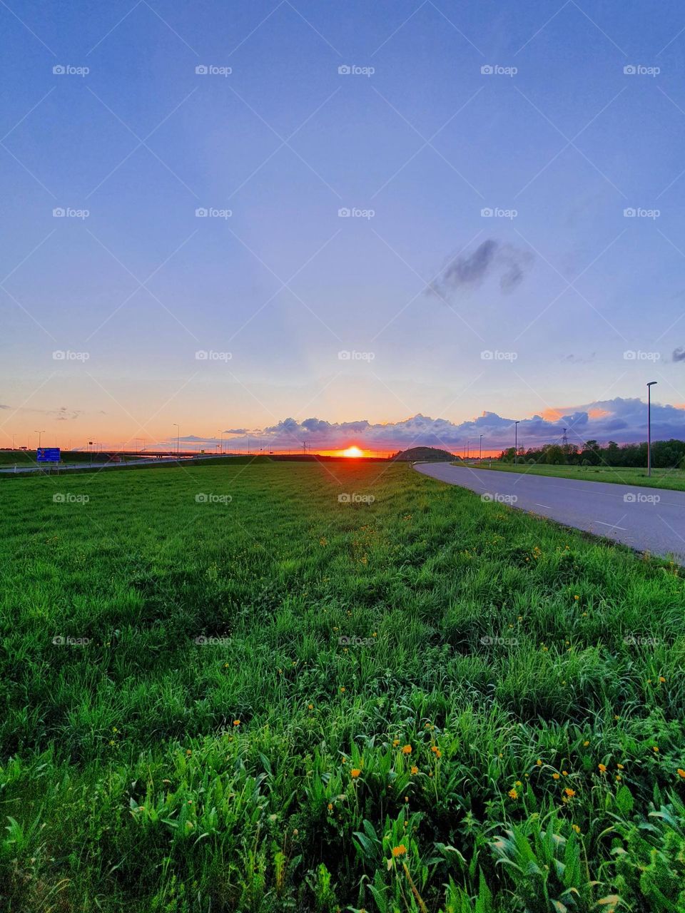 Amazing summer sunset with a bright and fresh colours.